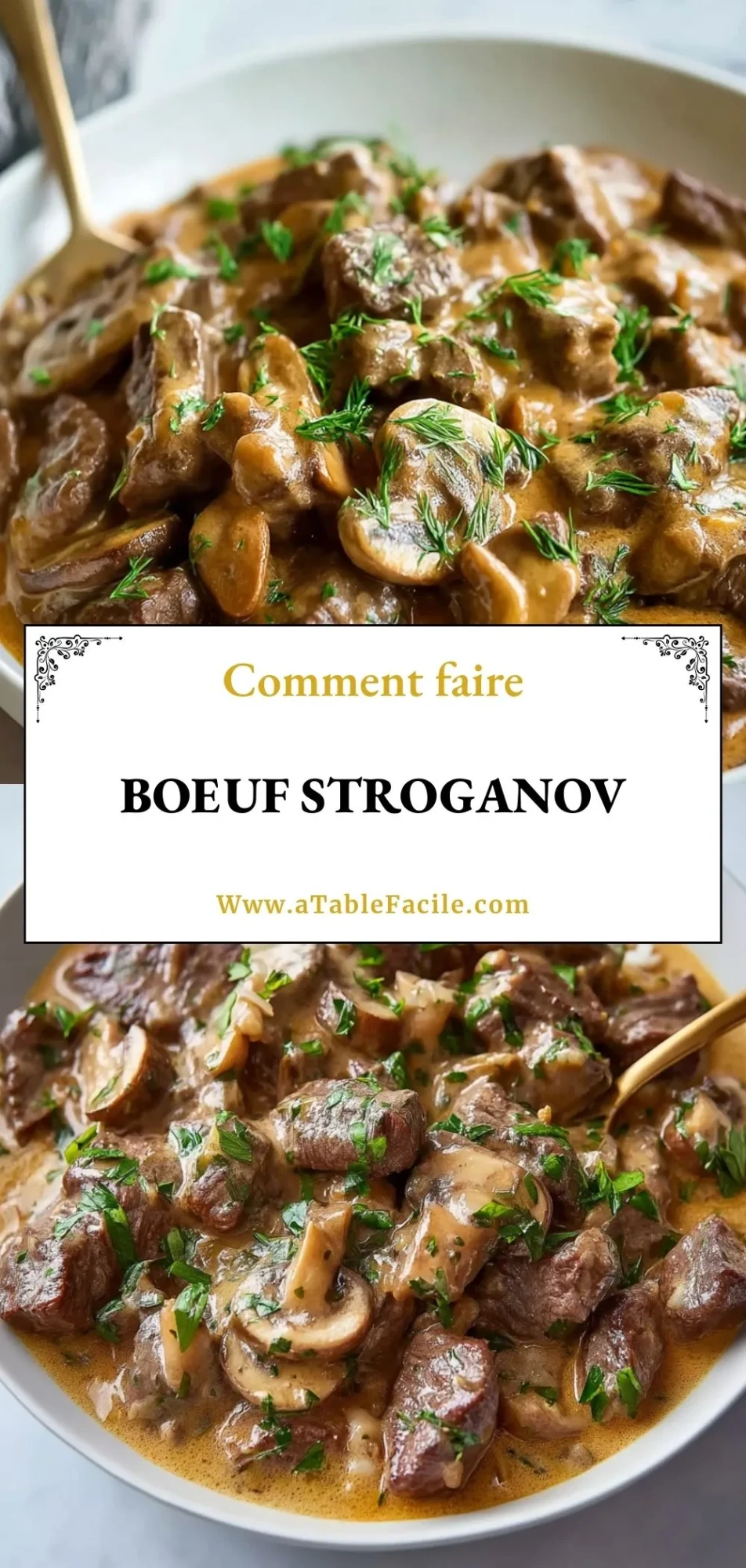 Boeuf Stroganov - Pin 1