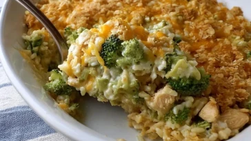 Casserole De Poulet, Brocoli Et Riz - 1 (1)
