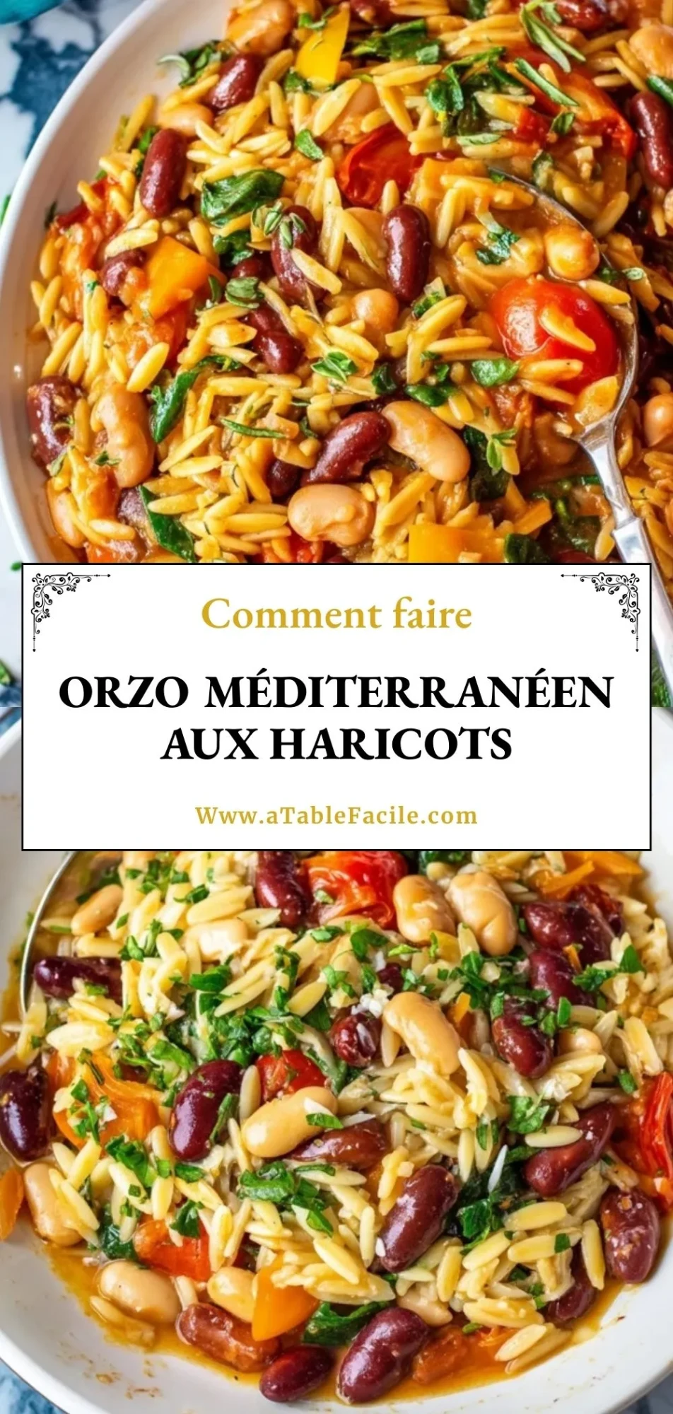 Orzo Méditerranéen aux Haricots - Pin 1