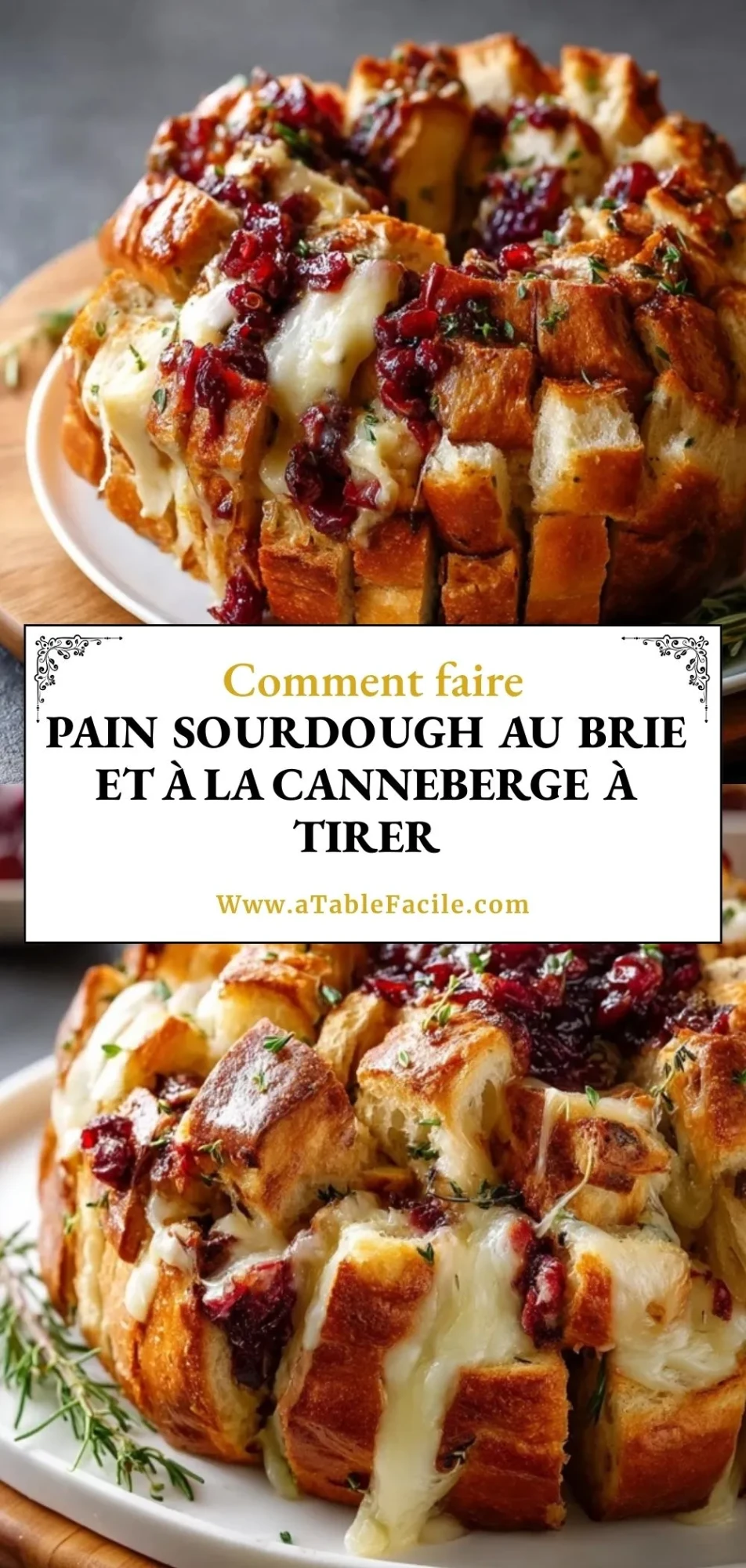 Pain Sourdough Au Brie Et À La Canneberge À Tirer - Pin 1