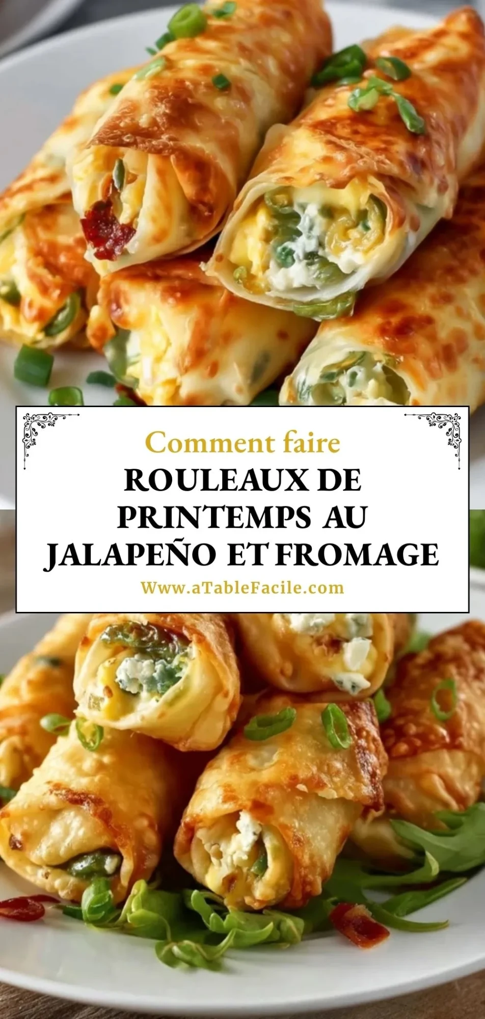 Rouleaux de printemps au jalapeño et fromage - Pin 1